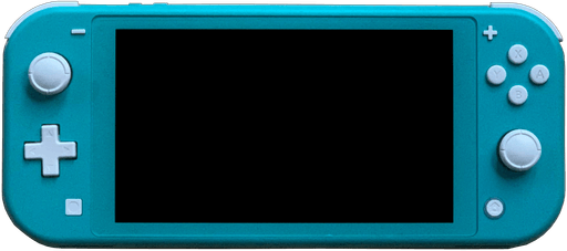 Switch Lite